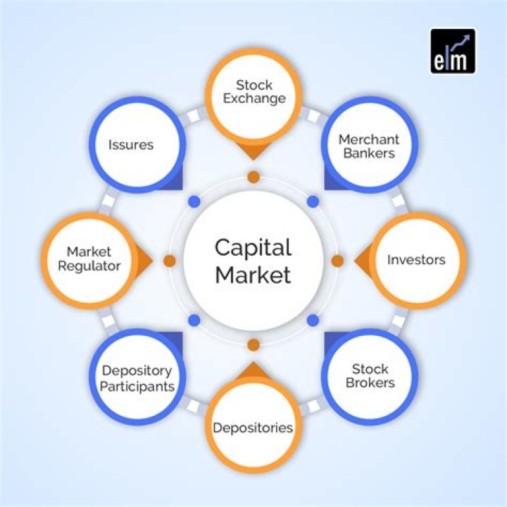 What are capital-market stakeholders?