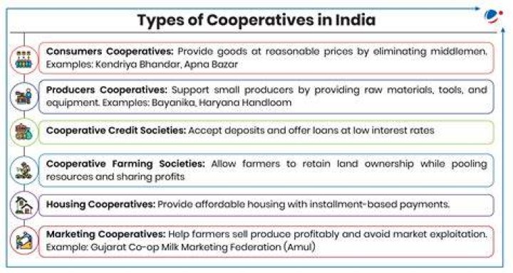 What are local business examples of cooperatives?