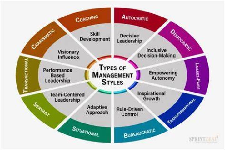 What are the various approaches to corporate management?