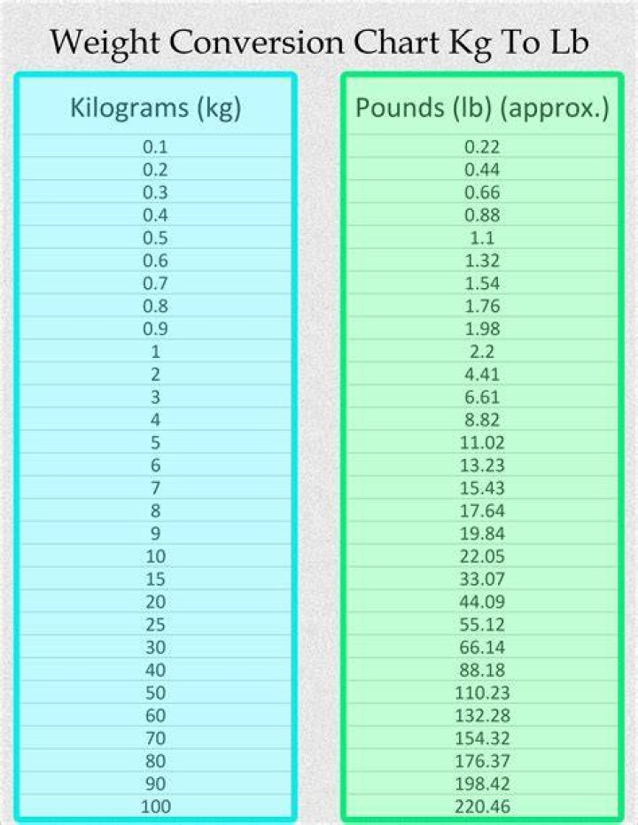 What is 100 kg in US weight?