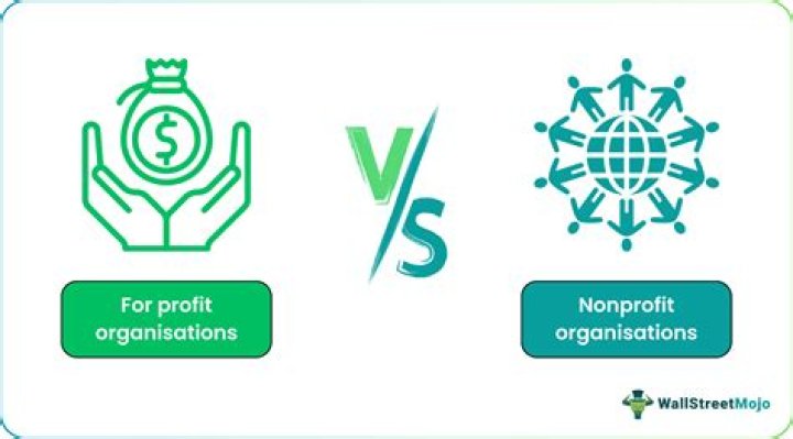 What is the difference between a profit and nonprofit business organization explain your answer?