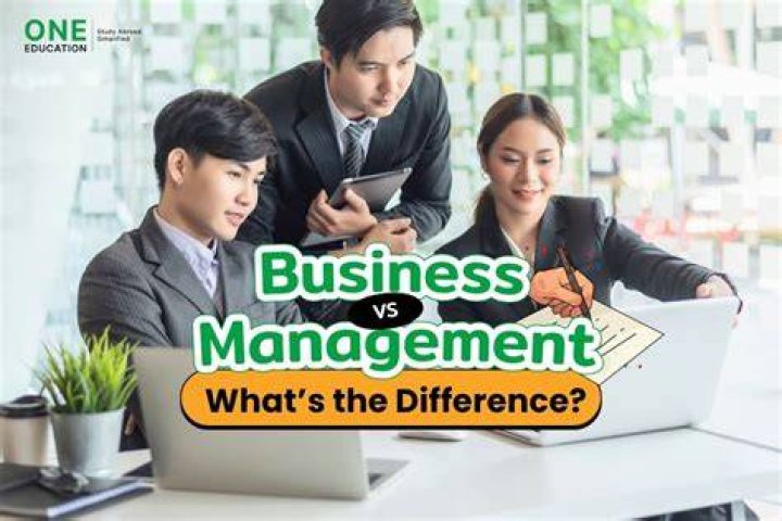 What is the difference between business and business studies?