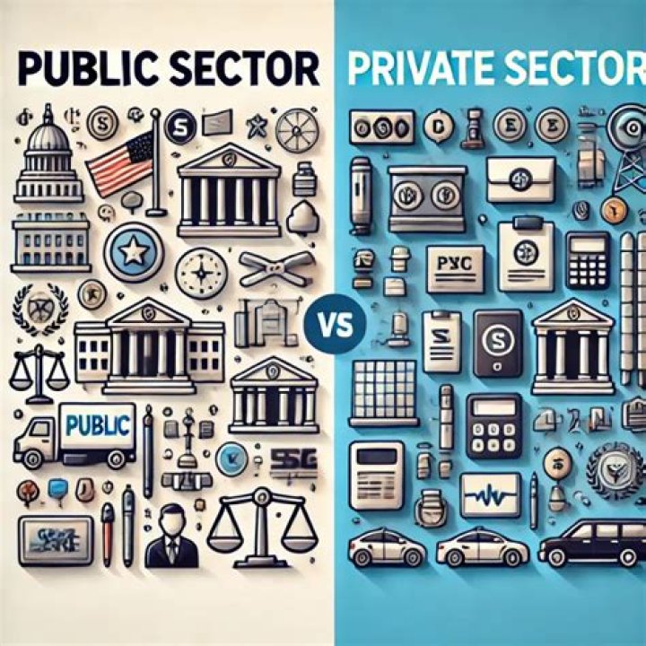 What is the difference between public and private sector organizations?