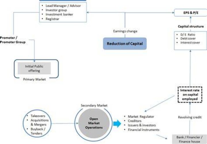 What is the flow of the capital market?