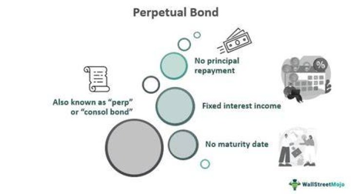 What is the meaning of perpetual debt?