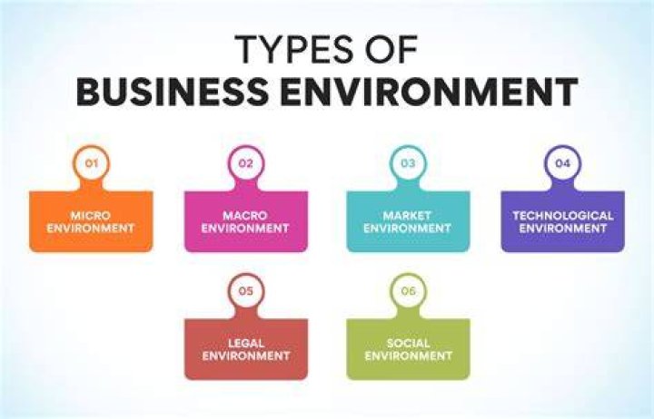 What is the role of environment in business?