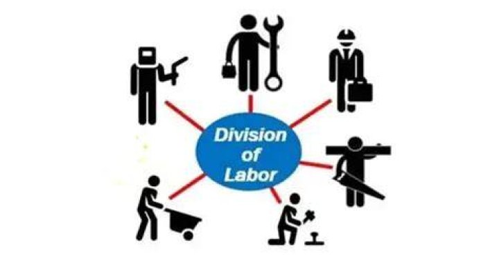 Why is division of labor and specialization important?
