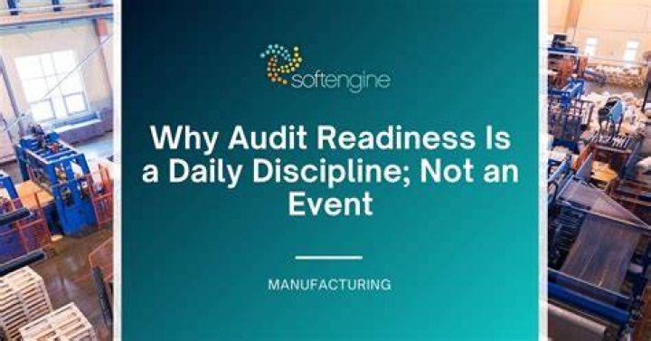 Why is the study of postulates significant for the audit discipline?
